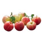 Bosch MS64M6170 – Image 2